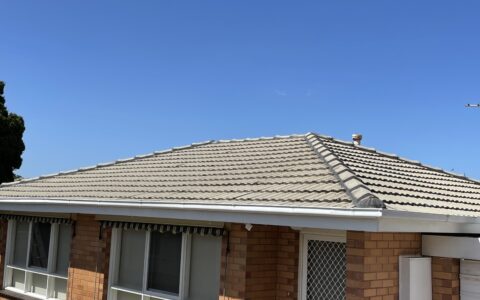 IMG_8035